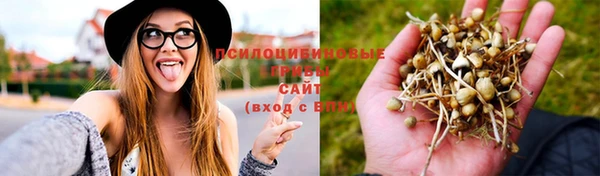 МДМА Беломорск