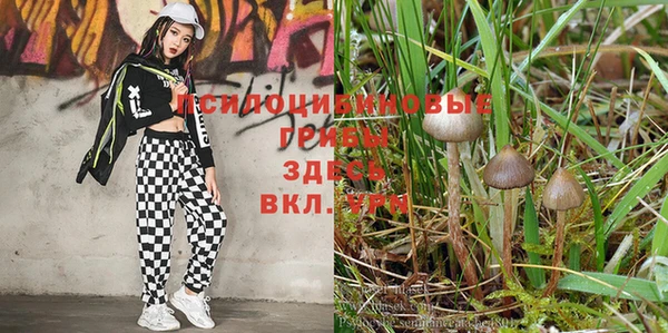 кокаин колумбия Белокуриха