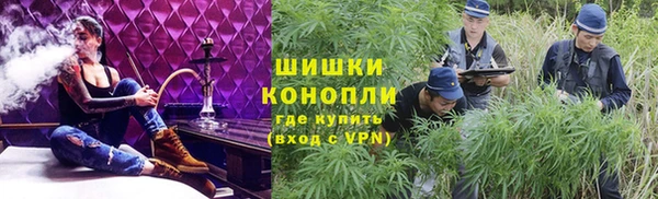мяу мяу мука Баксан