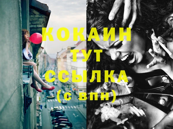 мяу мяу мука Баксан