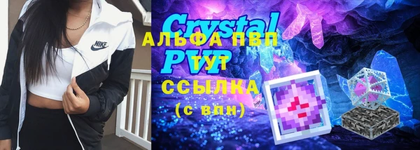 ПСИЛОЦИБИНОВЫЕ ГРИБЫ Балабаново