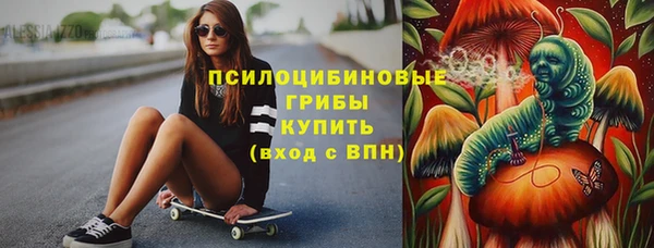 мяу мяу мука Баксан