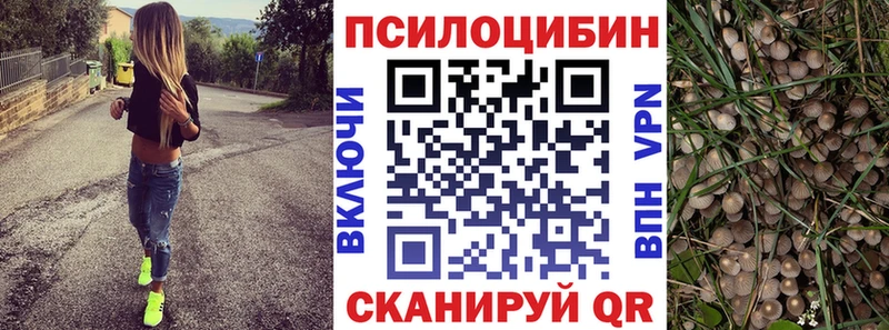Псилоцибиновые грибы мицелий  Хасавюрт 